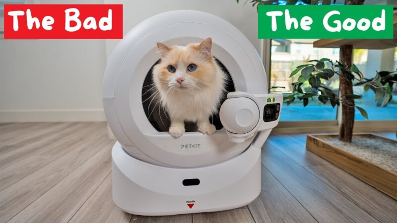 Youtube thumbnail image of: